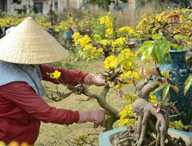 Tuyển DụngTuyển nhân sự