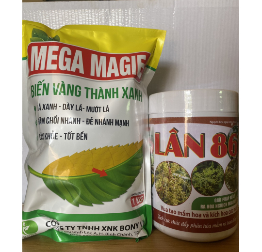 Bộ Làm Già Lá Nhanh